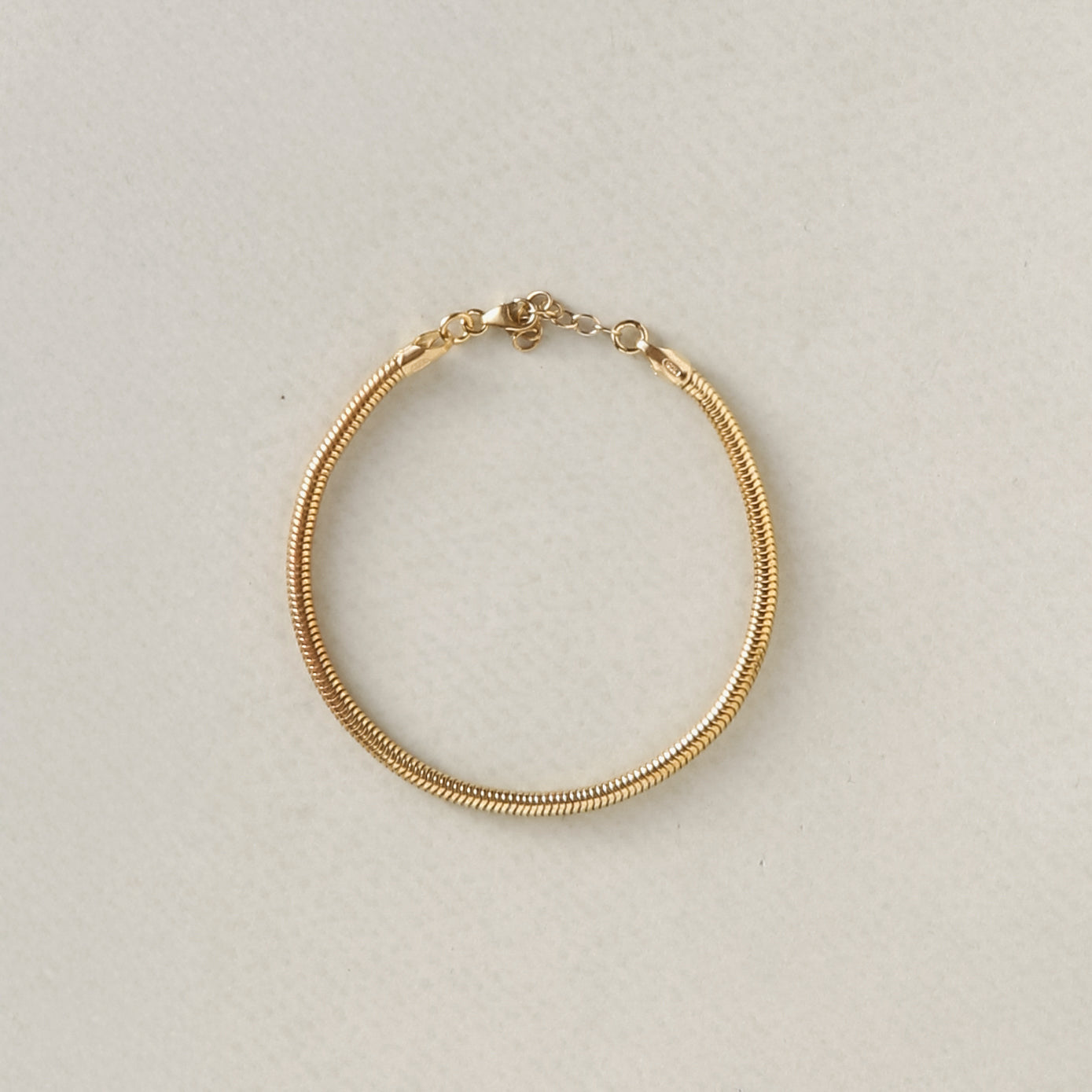 Snake Chain Bracelet