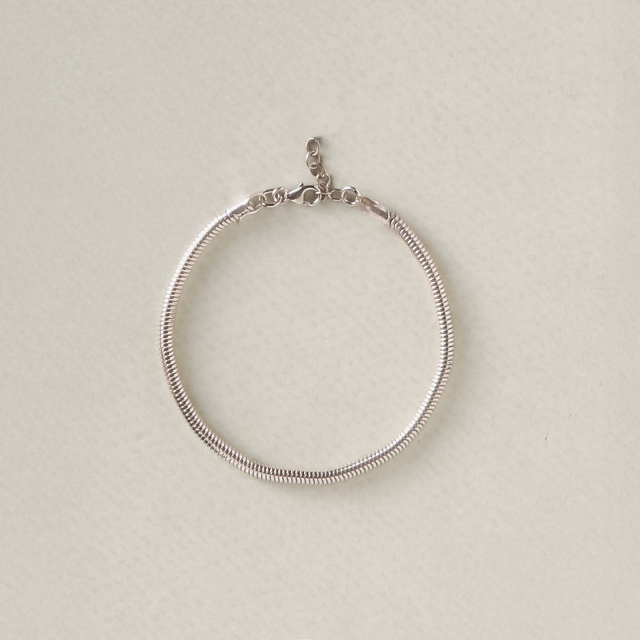 Snake Chain Bracelet